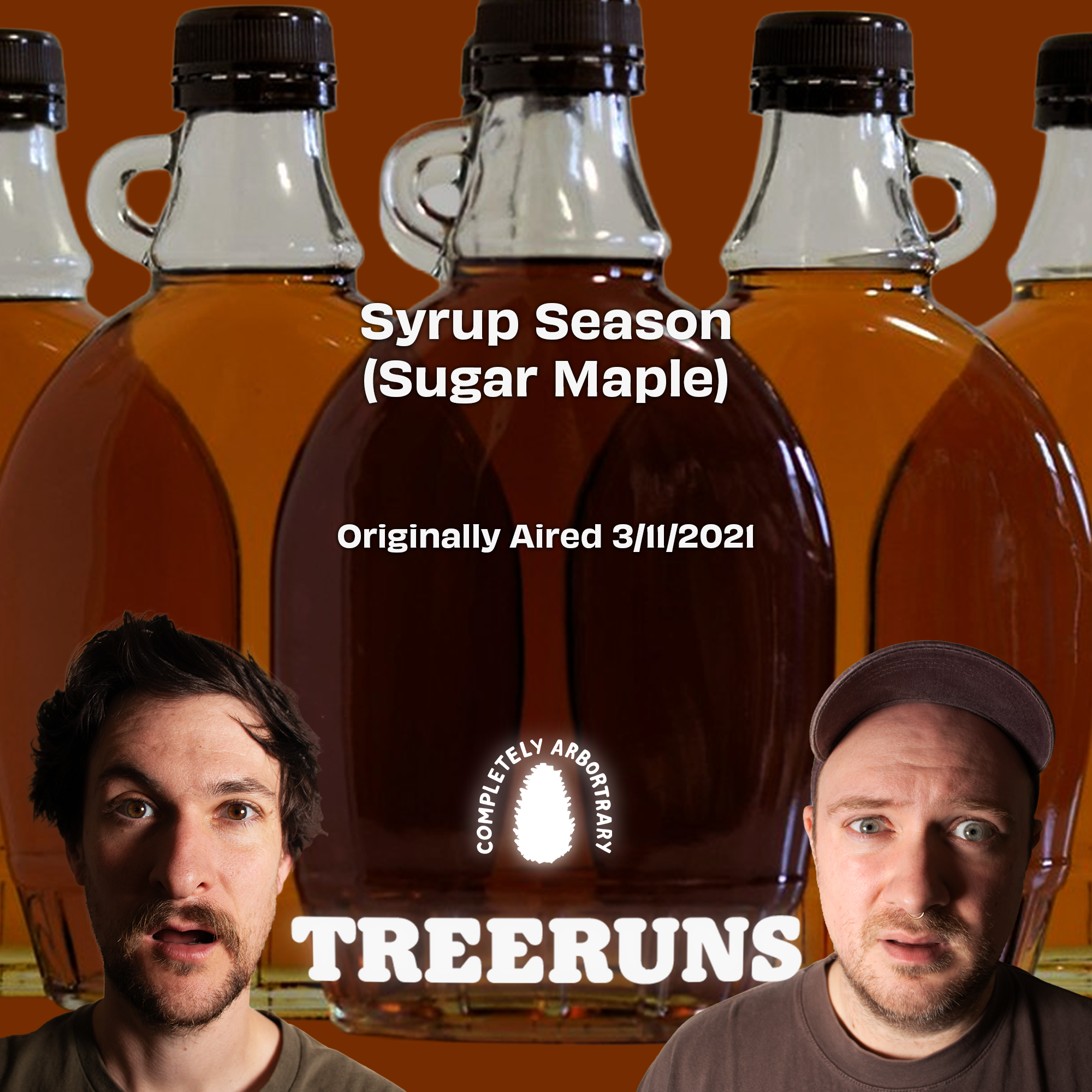 SYRUP SEASON (SUGAR MAPLE)