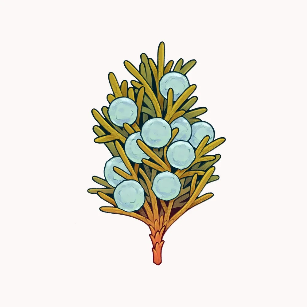 westernjuniper.jpg