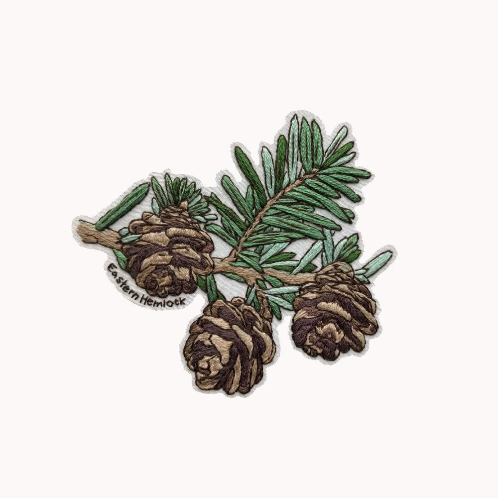 eastern-hemlock.jpg