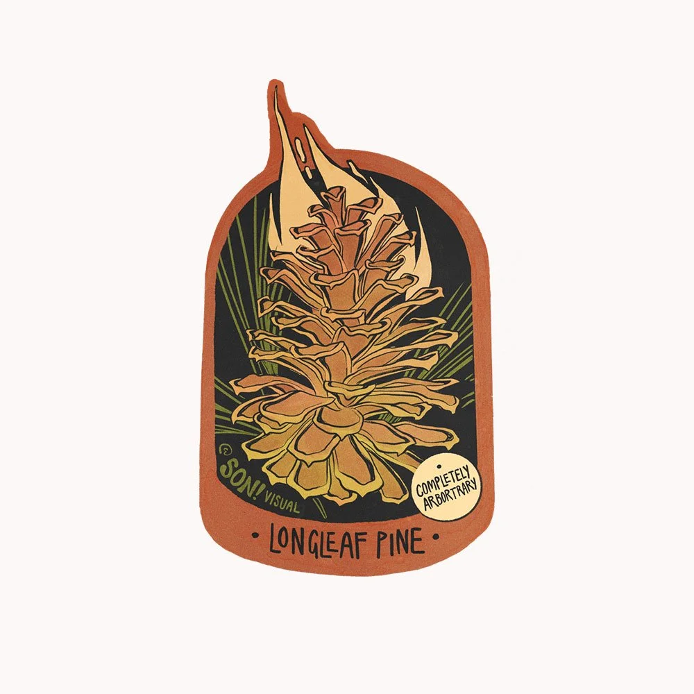 long-leaf-pine.jpg