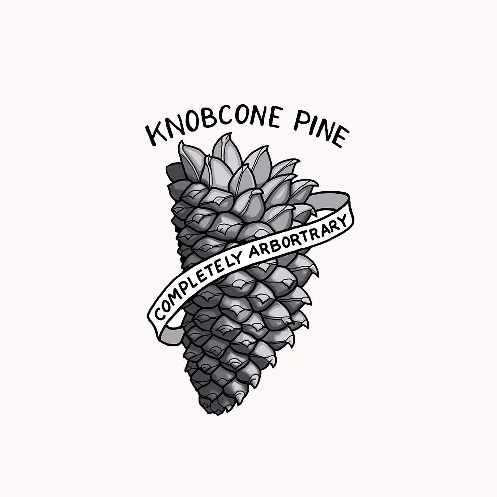 Knobcone Pine Sticker