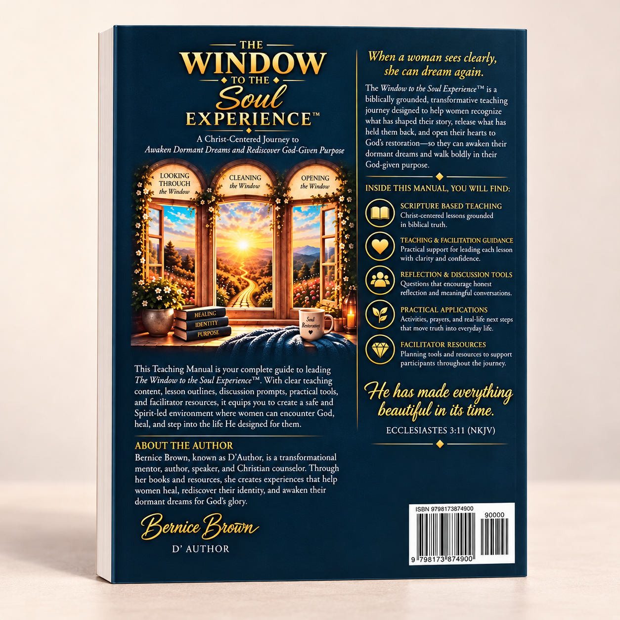 The Window to the Soul back cover.png