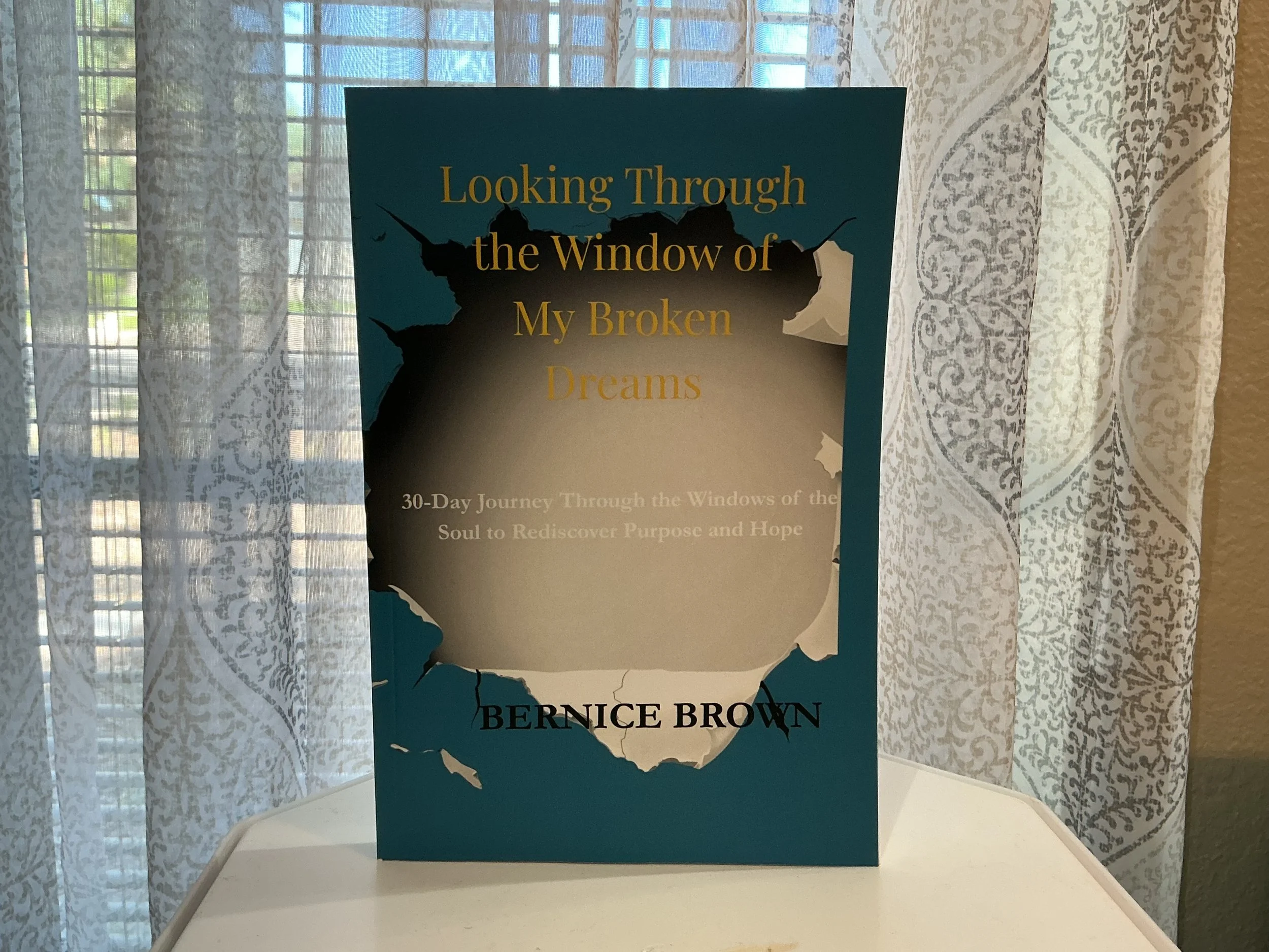 Looking Through the Window of My Broken Dreams [Personalized]
