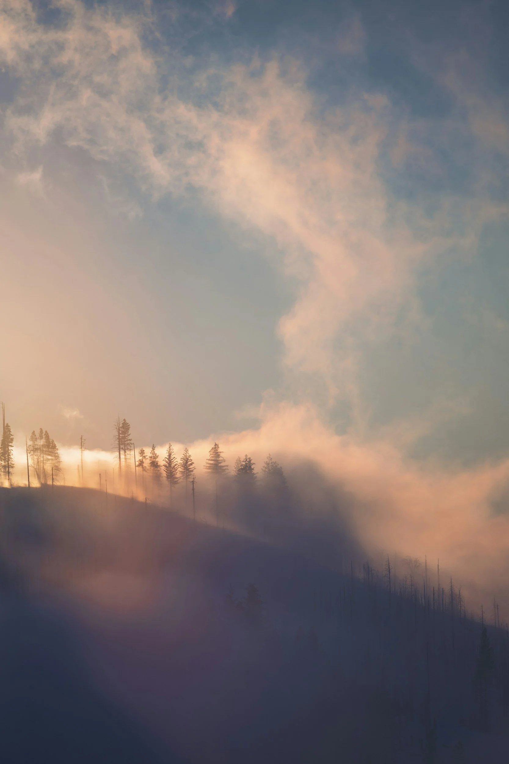 Hunting May Morels