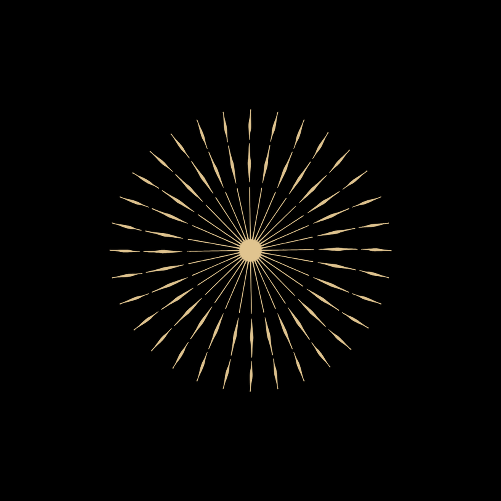 psyholic-lichtstrahlen-symbol-checkout-schwarz.png