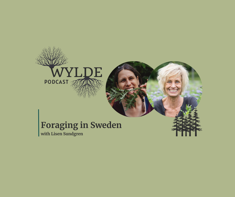 Wild foraging in Sweden