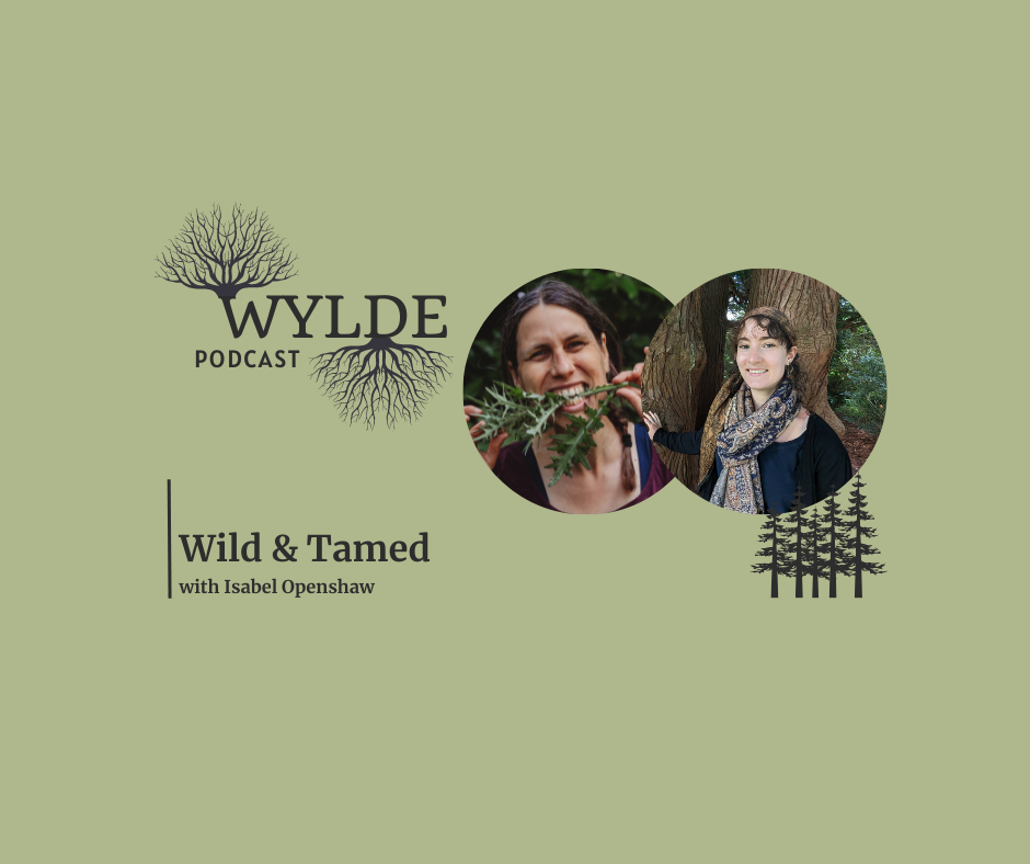 Wild &amp; Tamed with Isabel Openshaw