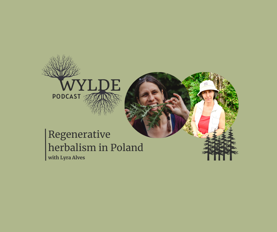 Regenerative herbalism in Poland