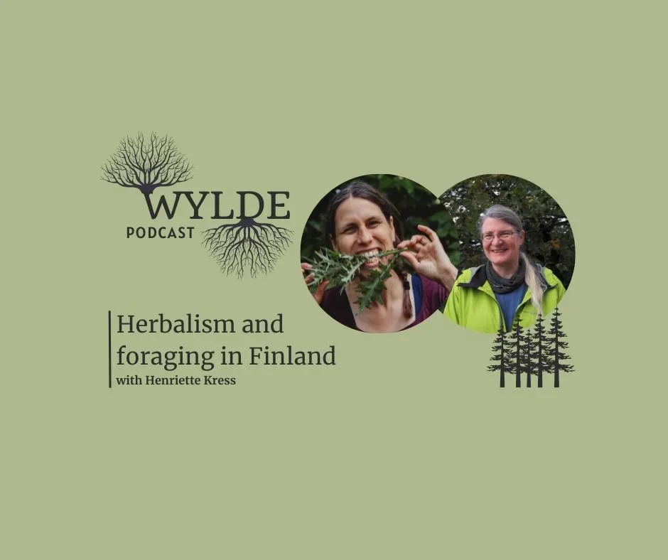 Herbalism and foraging in Finland
