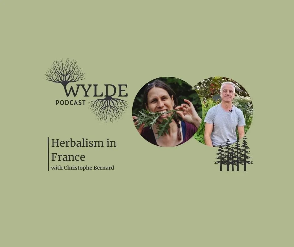 Herbalism in France