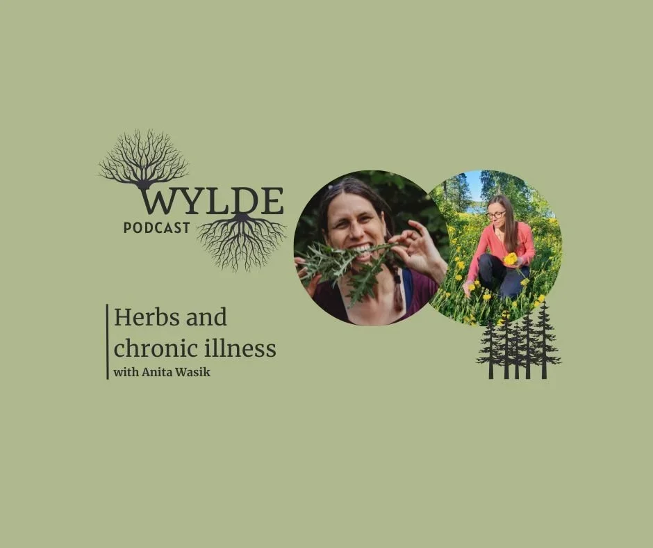 Herbs and chronic illness