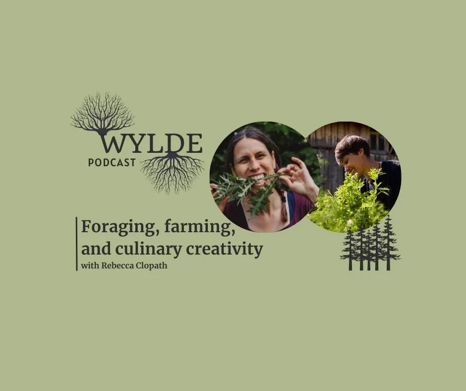 Foraging, farming, and culinary creativity