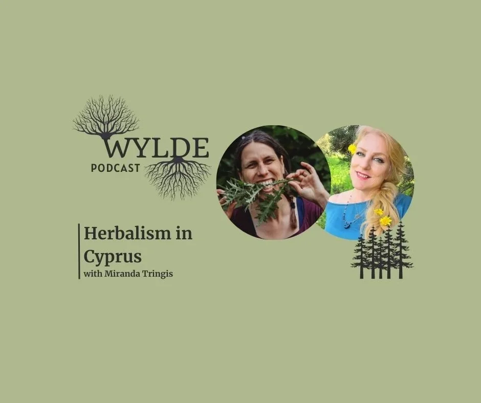 Traditional herbal wisdom in Cyprus