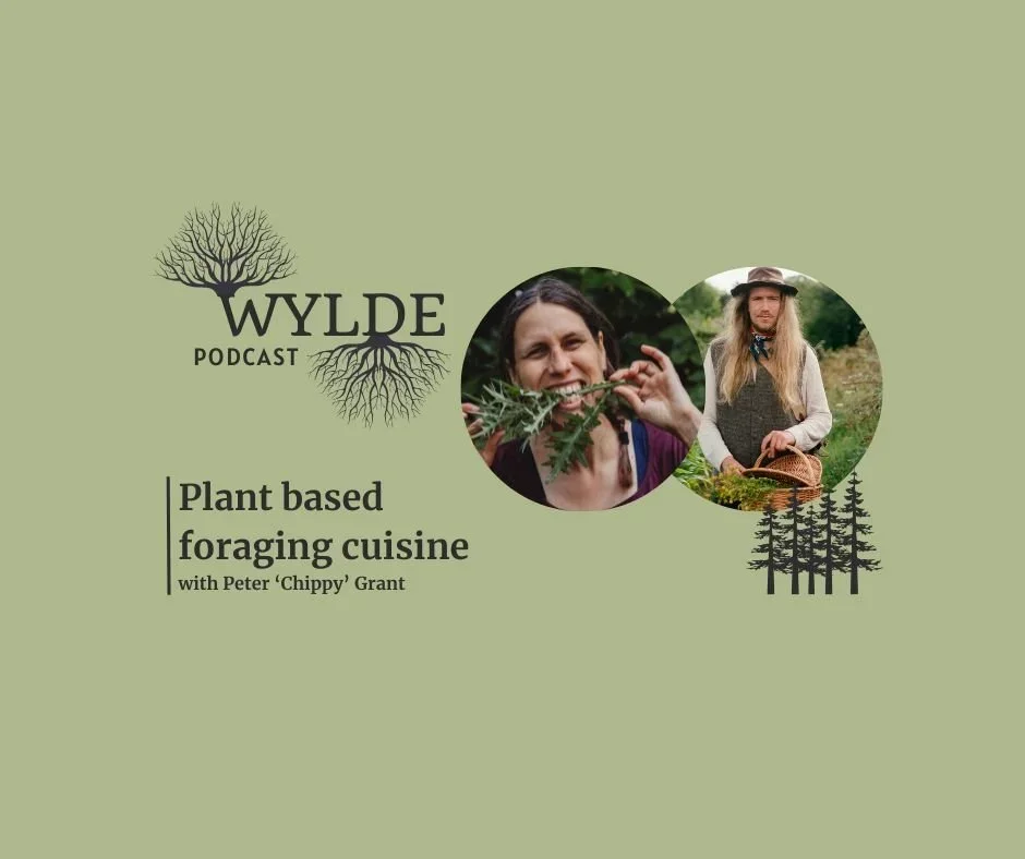 Discovering plant based foraging cuisine