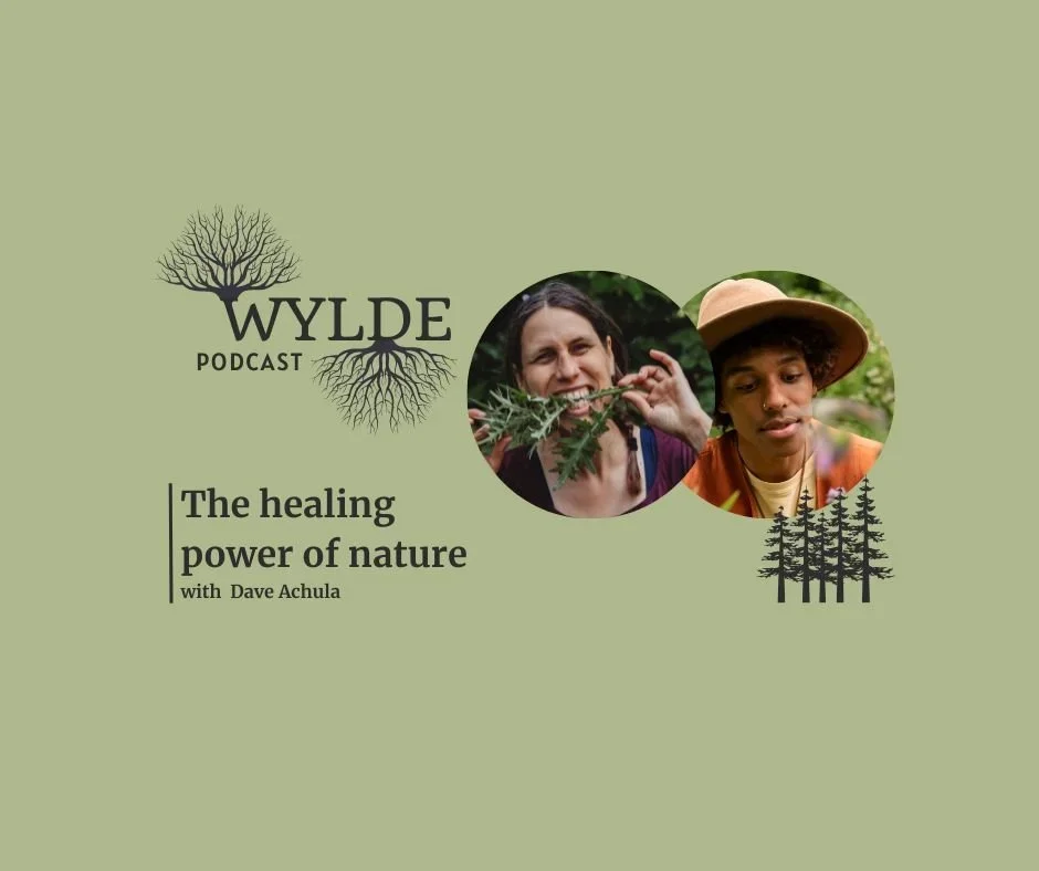 The healing power of nature with Dutch herbalist Dave Achula