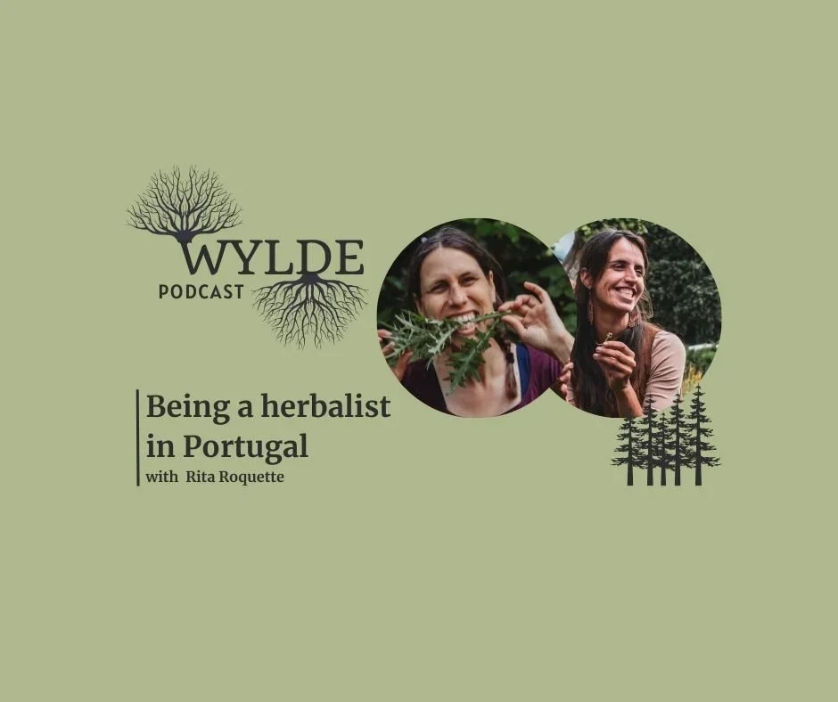 Being a herbalist in Portugal with Rita Roquette
