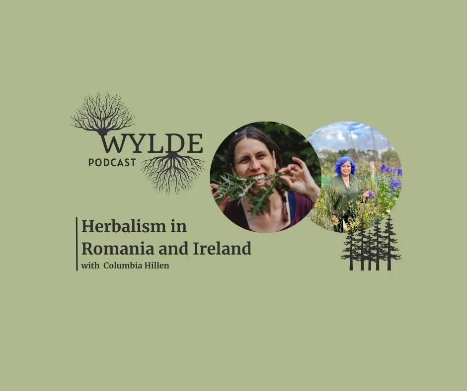 Remembering to trust the herbs with Columbia Hillen