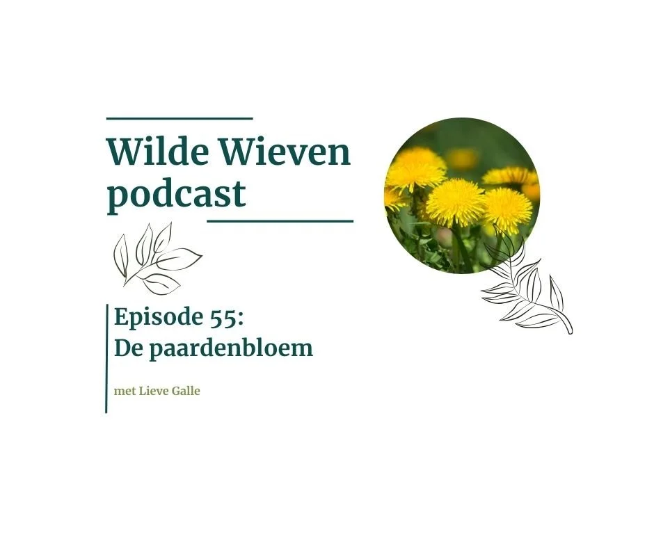 De paardenbloem: 3 krachtige detox drankjes uit 1 plant