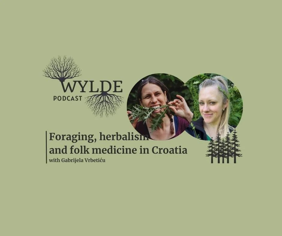 Foraging, herbalism and folk medicine in Croatia with Gabrijela Vrbetić