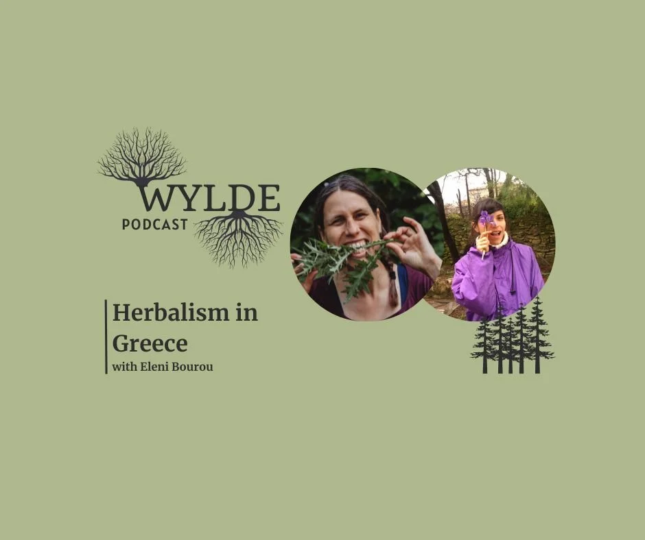 Herbalism in Greece with Eleni Bourou