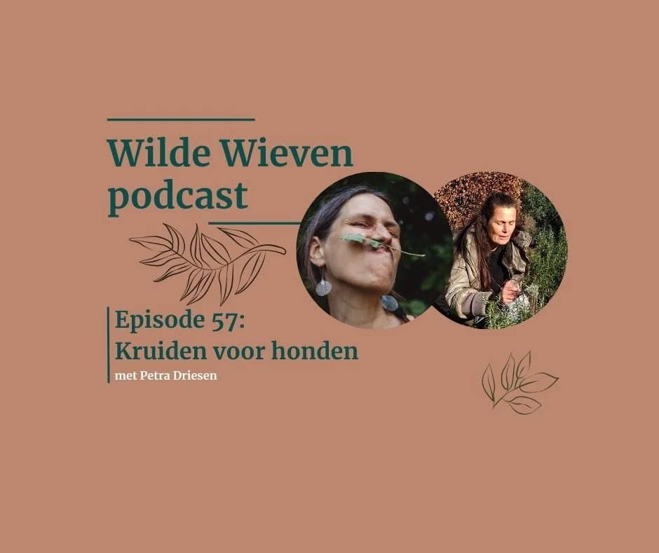 Kruiden voor honden met Petra Driesen