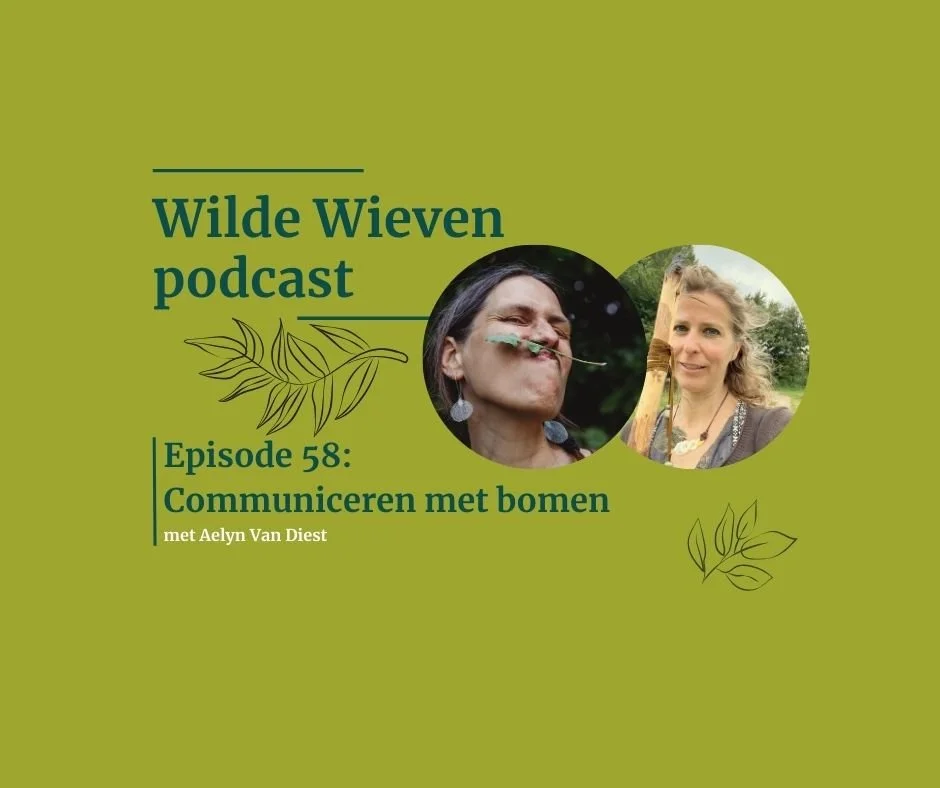 Communicatie tussen mensen en bomen met Aelyn Van Diest