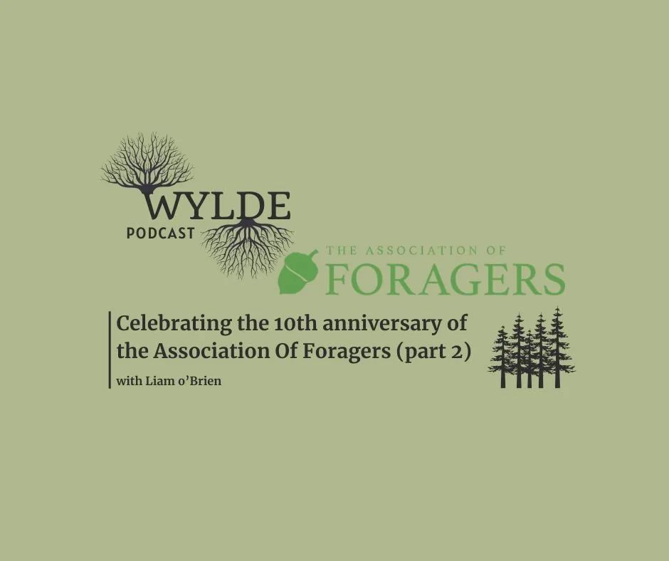 Normalizing foraging with Liam O’Brien
