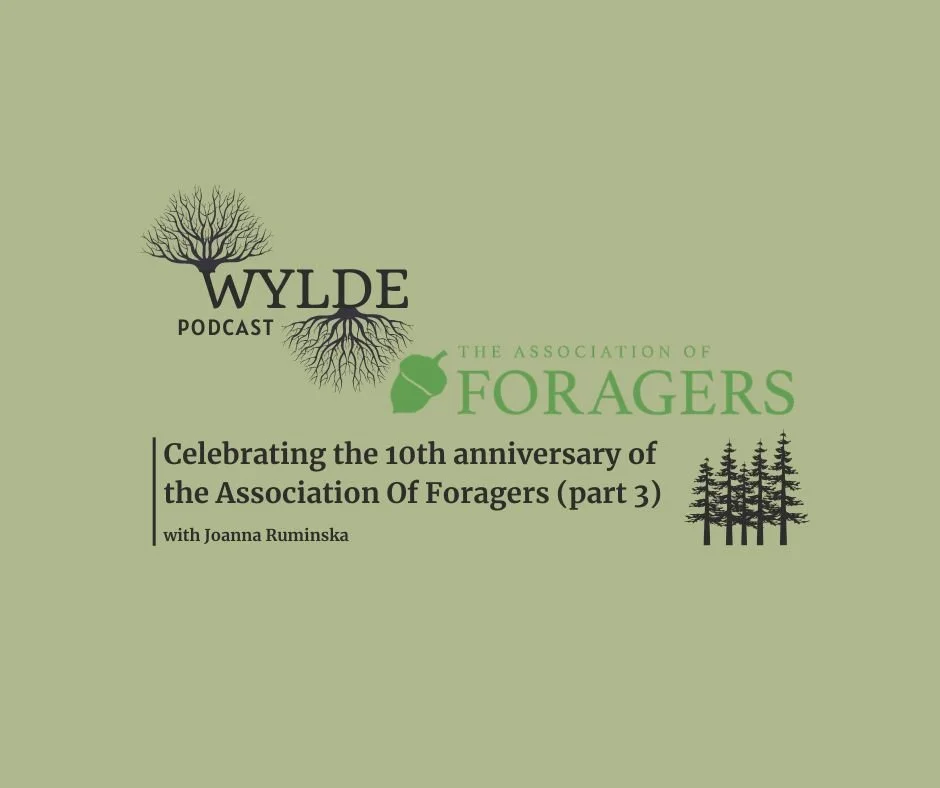 What foraging teaches you about life with Joanne Ruminska