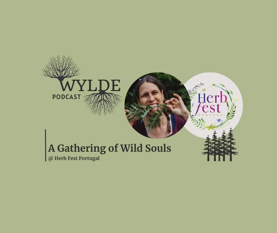 Herb Fest Portugal: A Gathering of Wild Souls