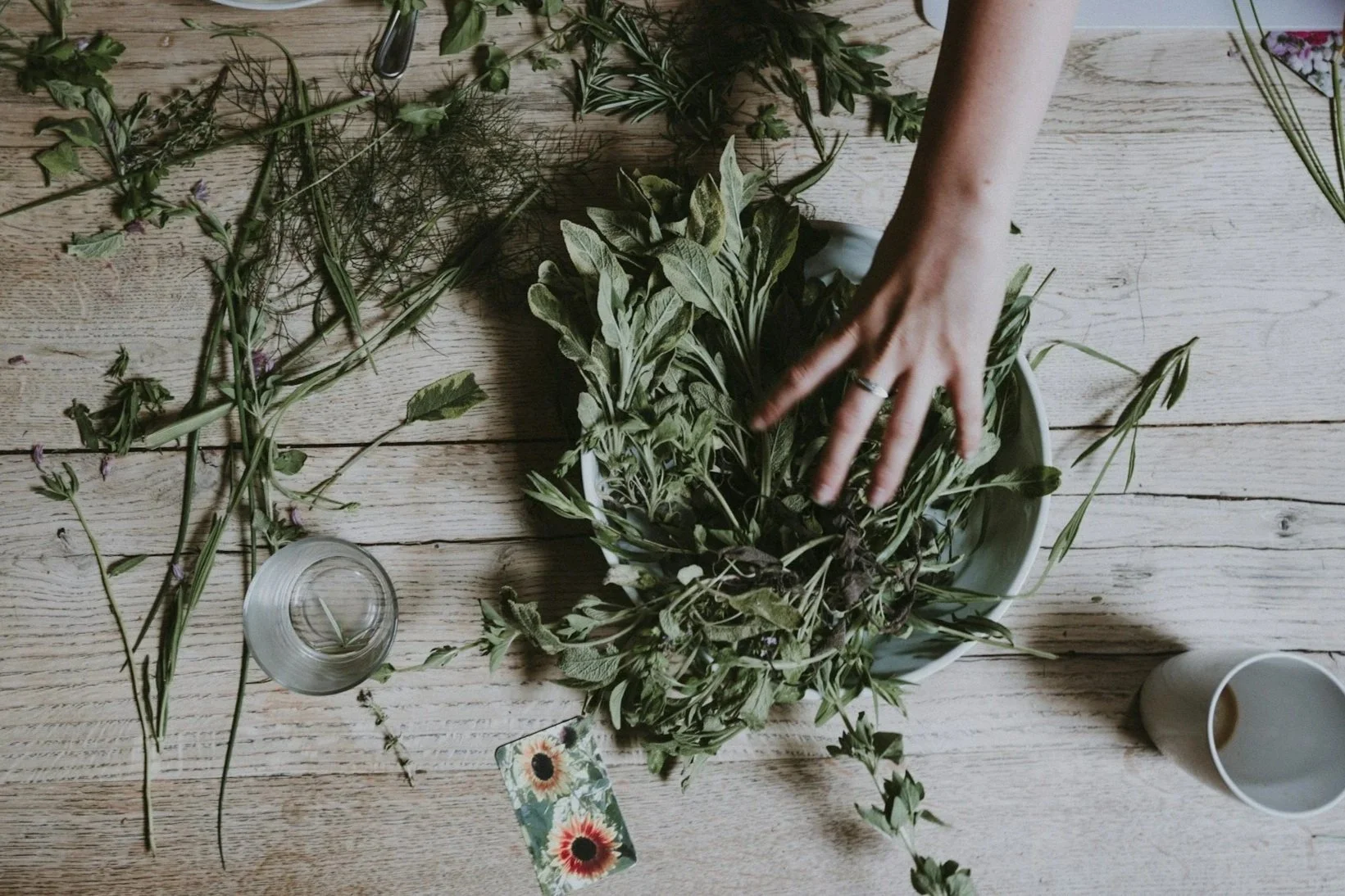 herborist en de WHO strategie