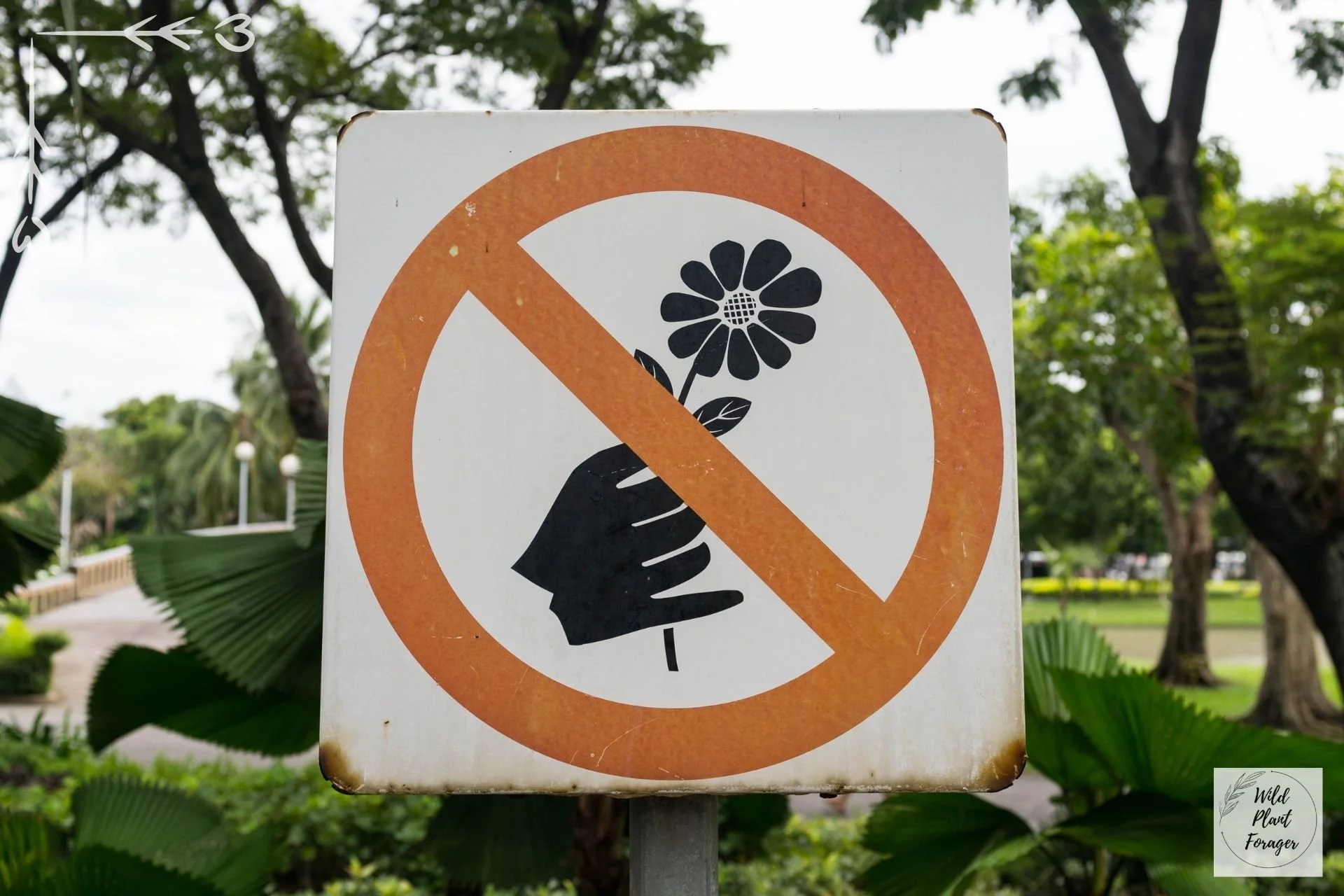 Verboden te plukken bord aan de ingang van een recreatiedomein