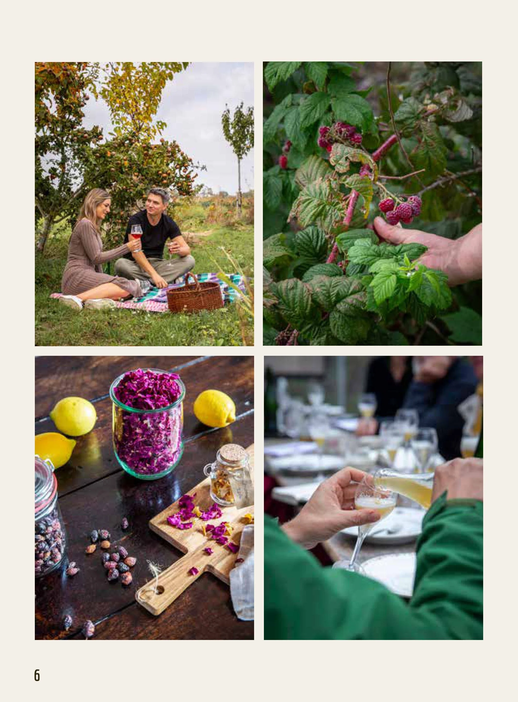 De Wildste Dranken preview
