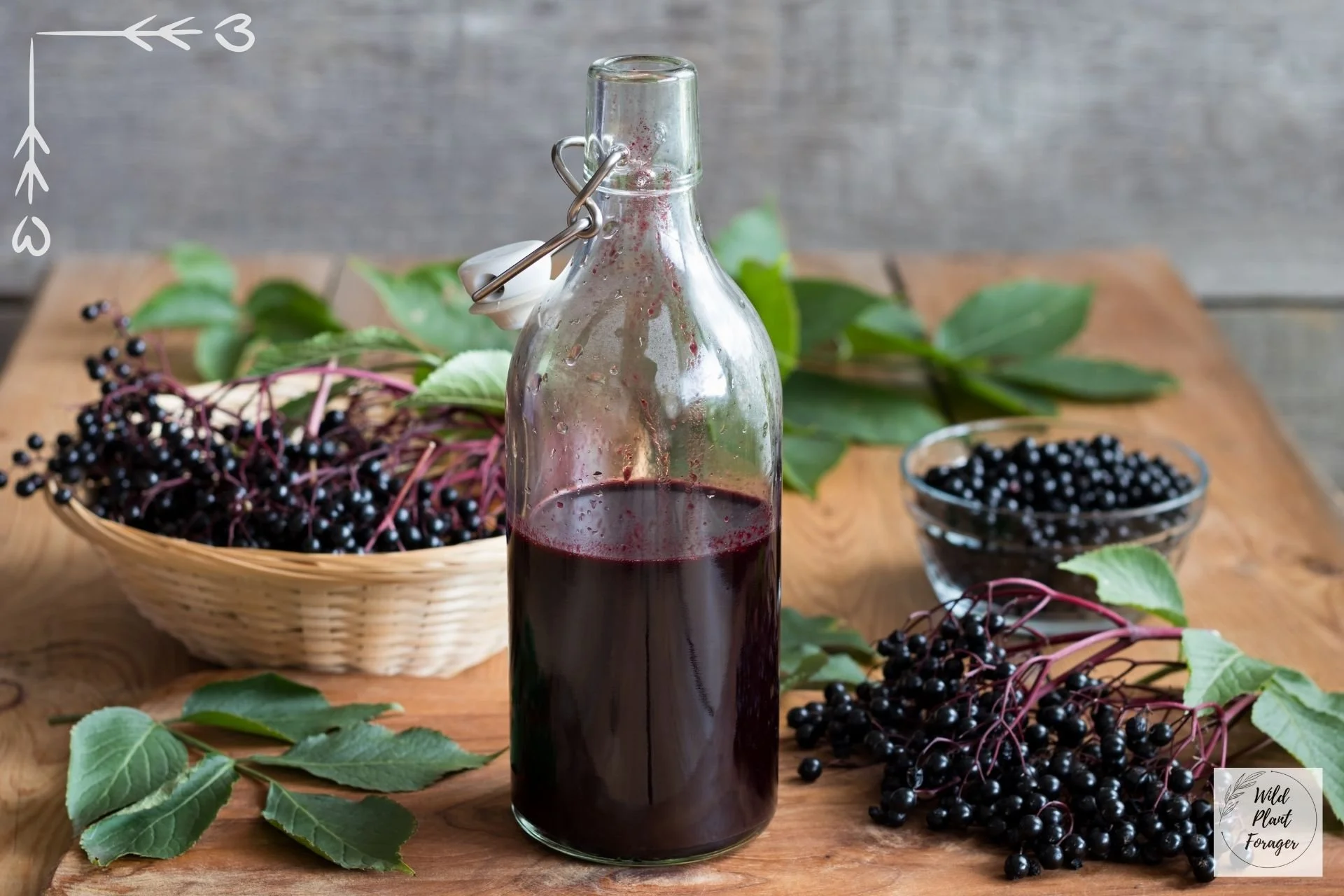 Vlierbessen zijn giftig, ja. Maar ook een machtig superfood