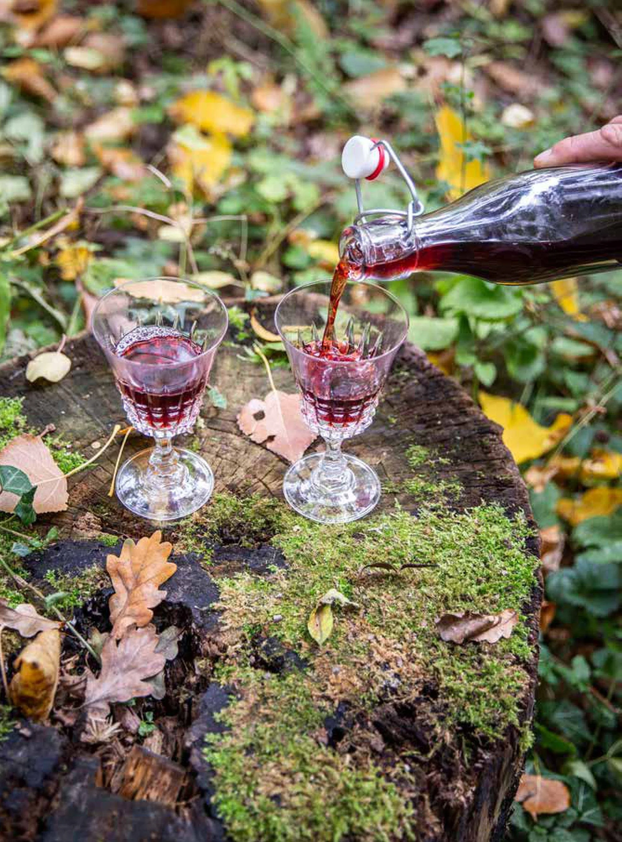 De Wildste Dranken preview