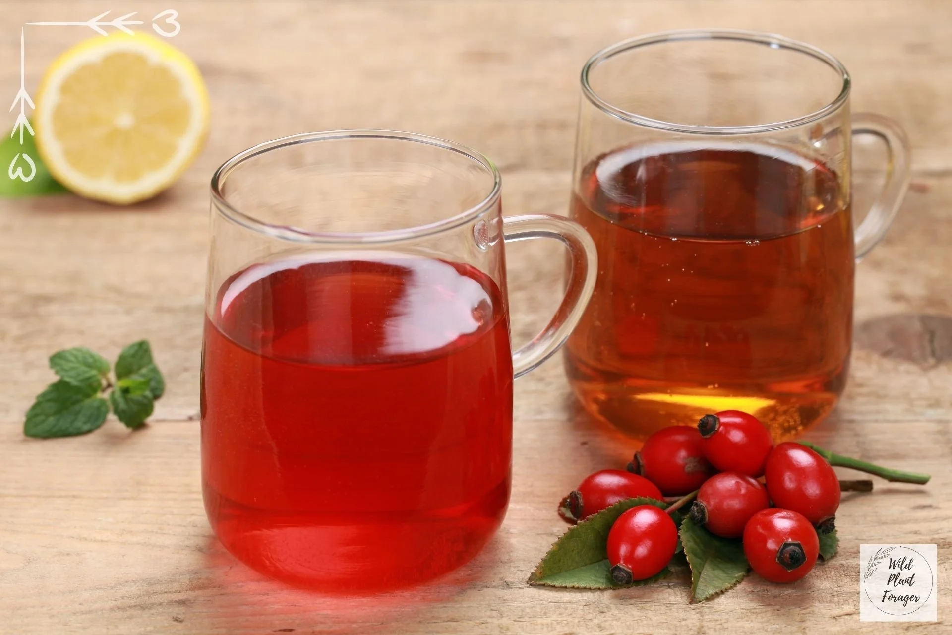 Rozenbottel thee
