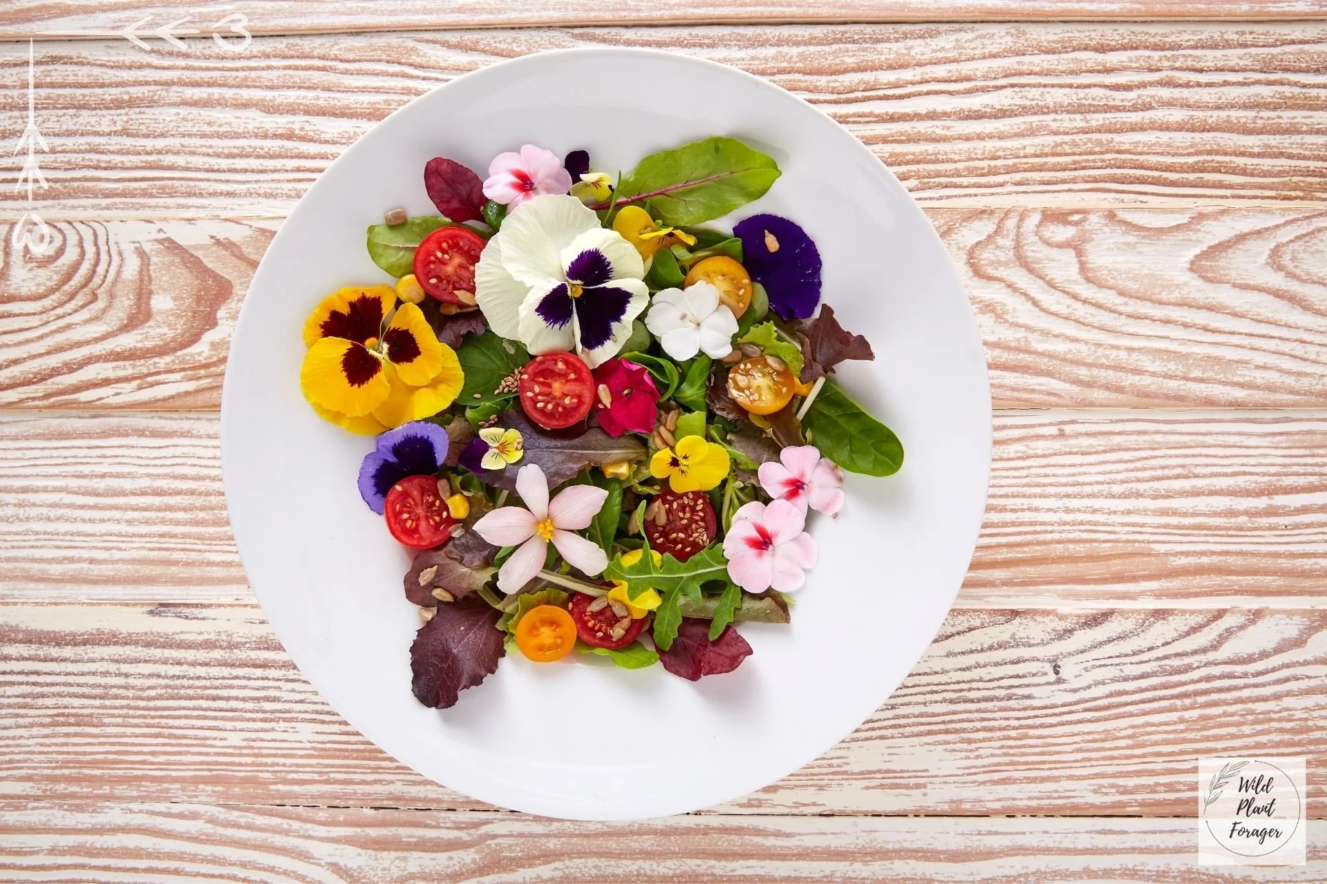 Eetbare wilde bloemen op je bord