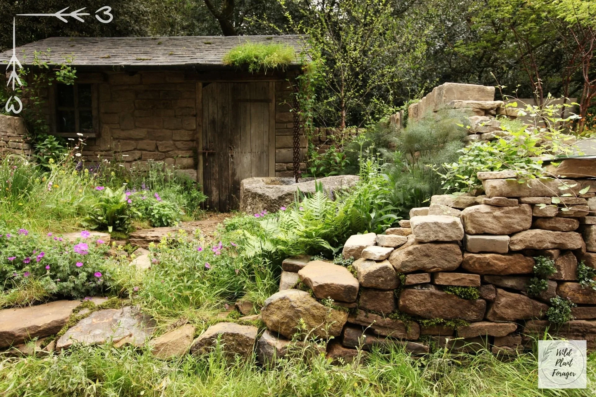 Een tuin vol eetbare planten: hoe begin je daaraan?