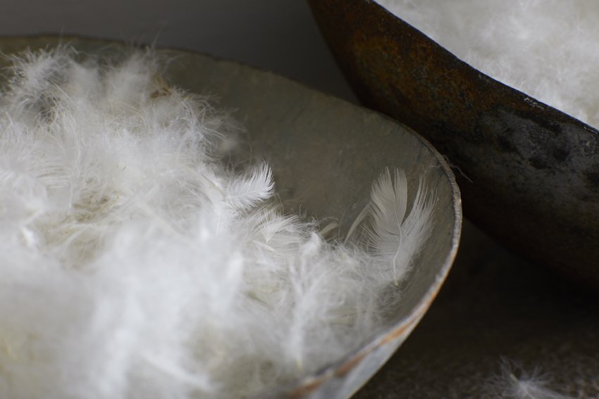 Duck_Feather_And_Down168 copy - Copy.jpg