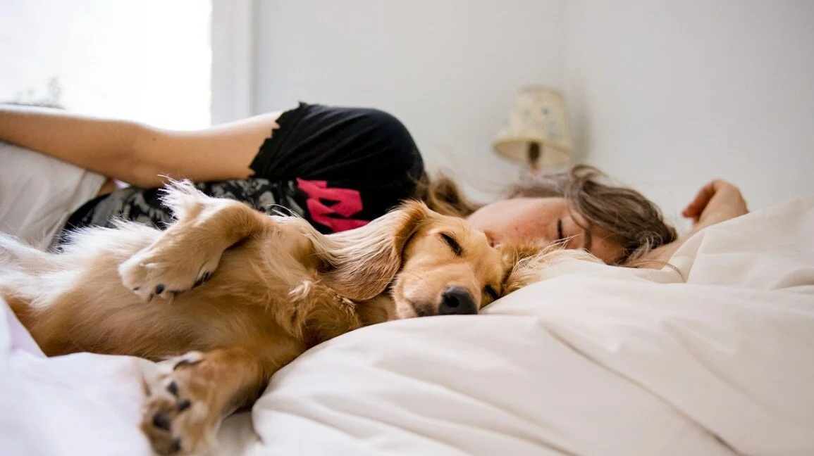 Is It Good to Sleep with Your Dog in Bed?