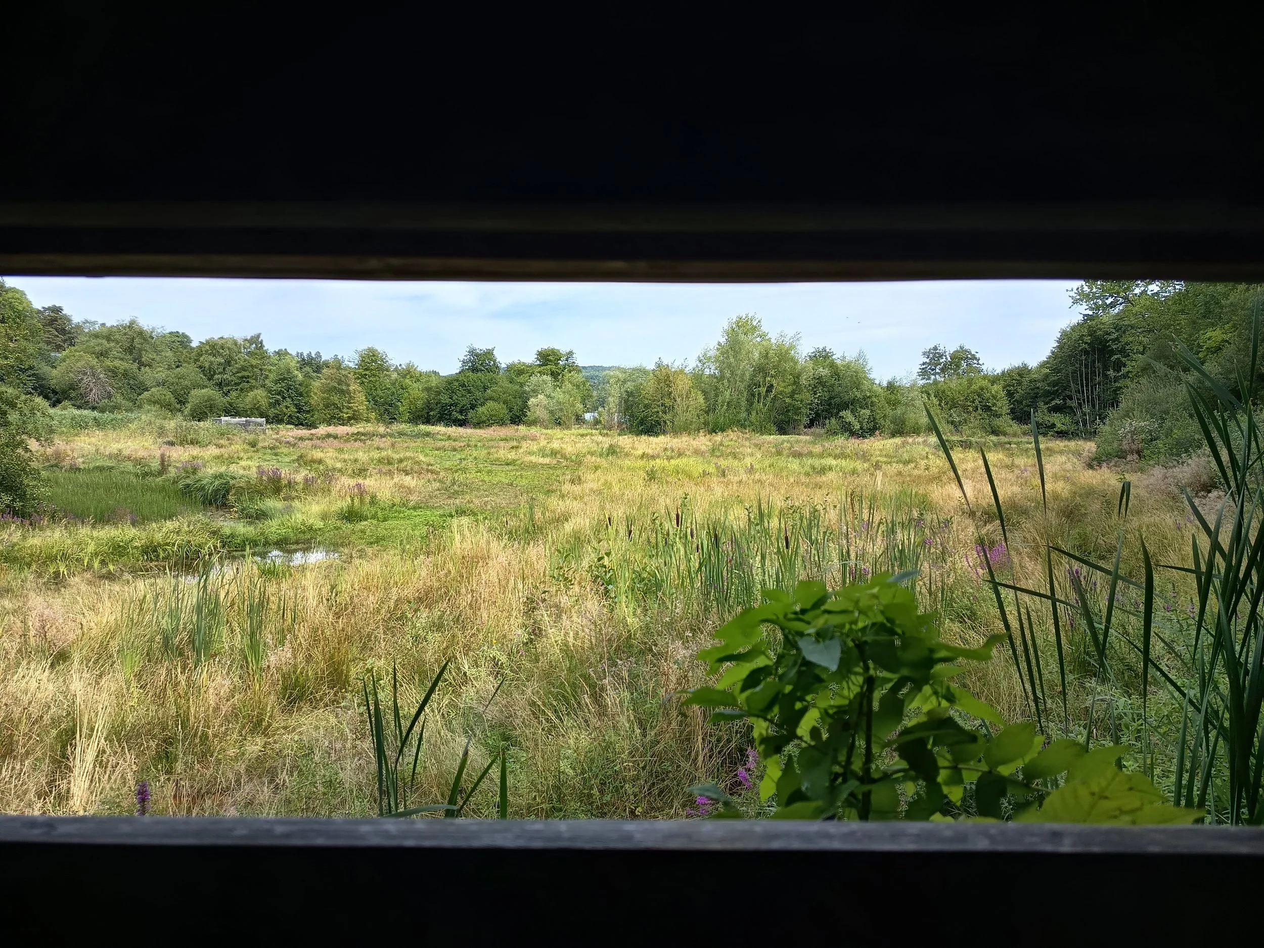 Boucler l’année en beauté