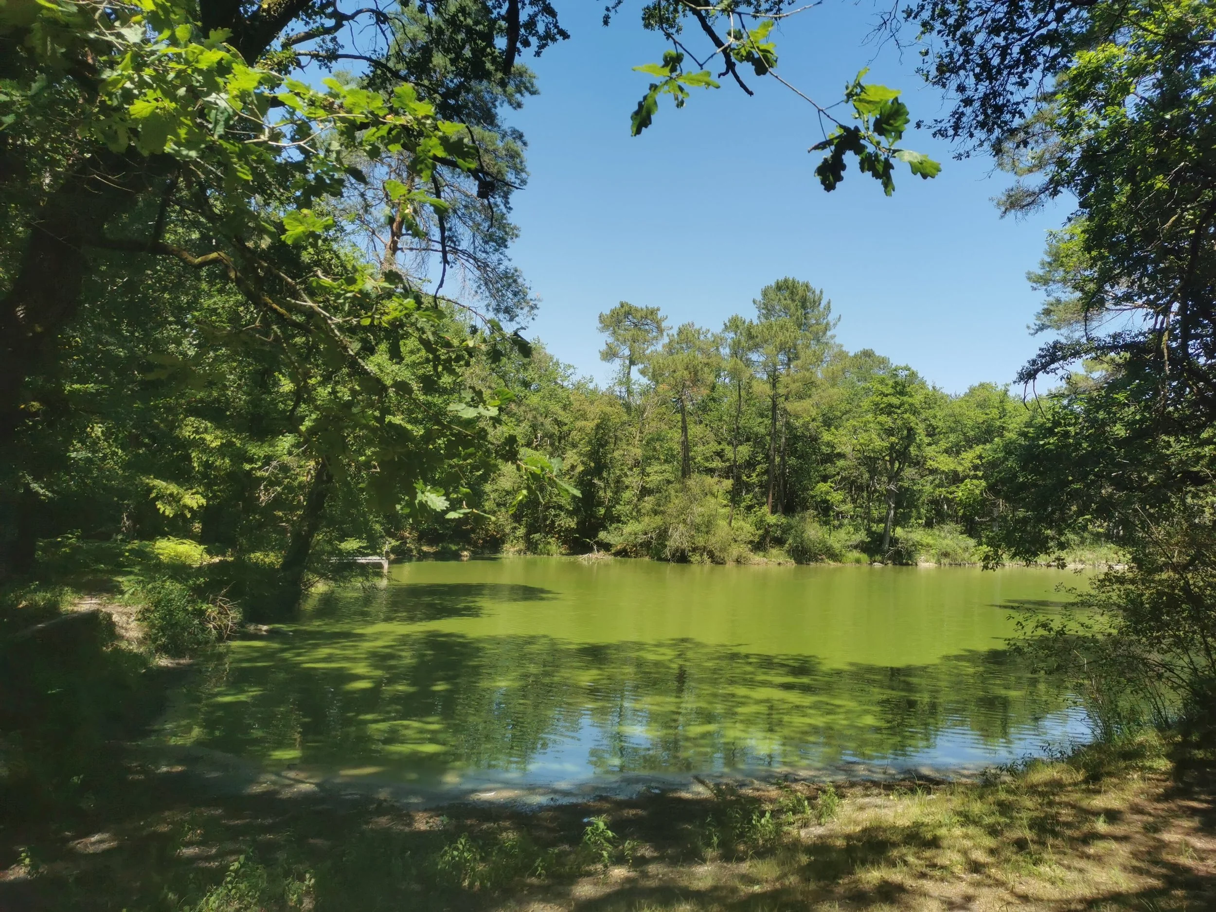 Chercher l’eau