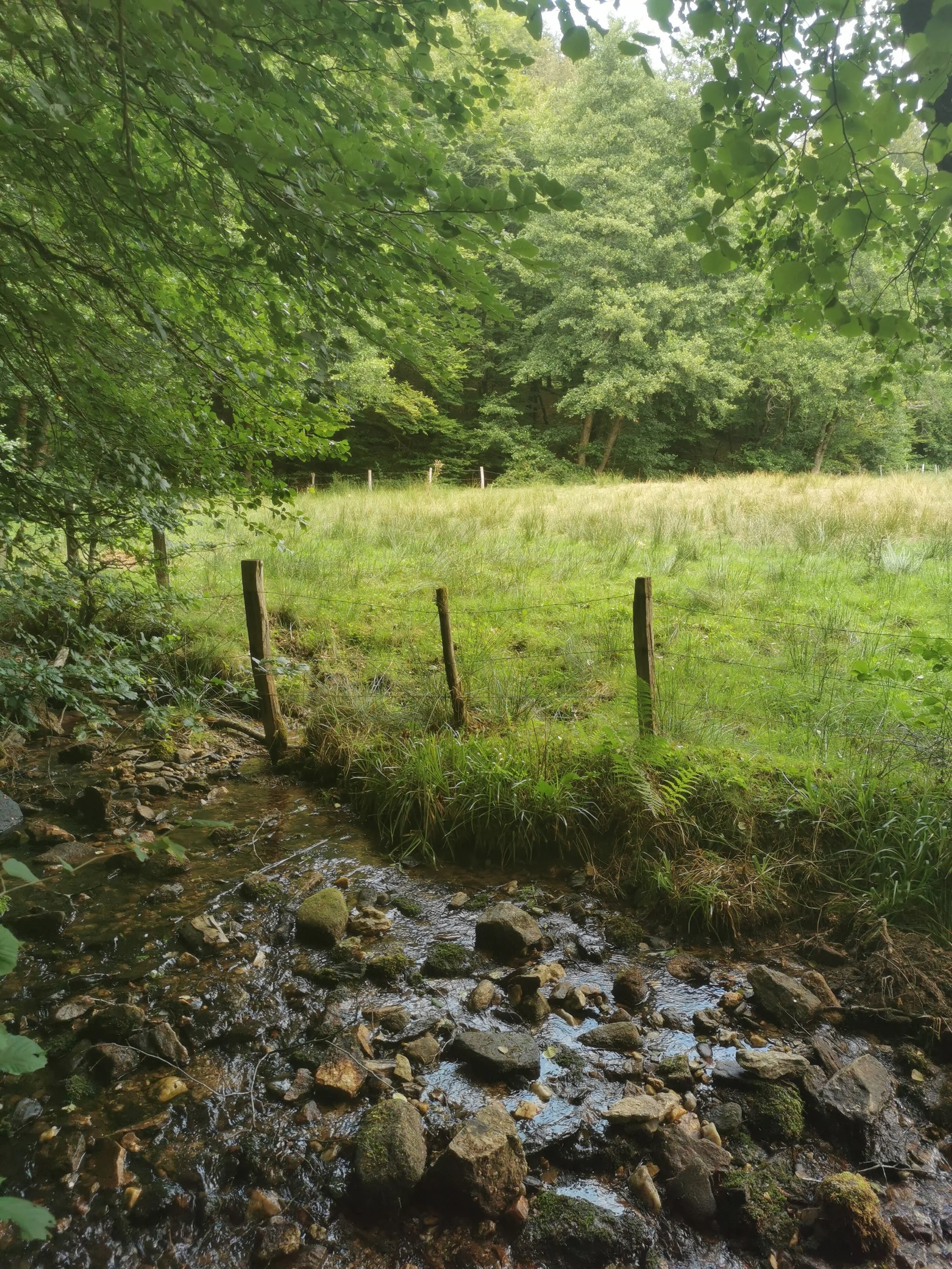 IMG_20260803_111557.jpg