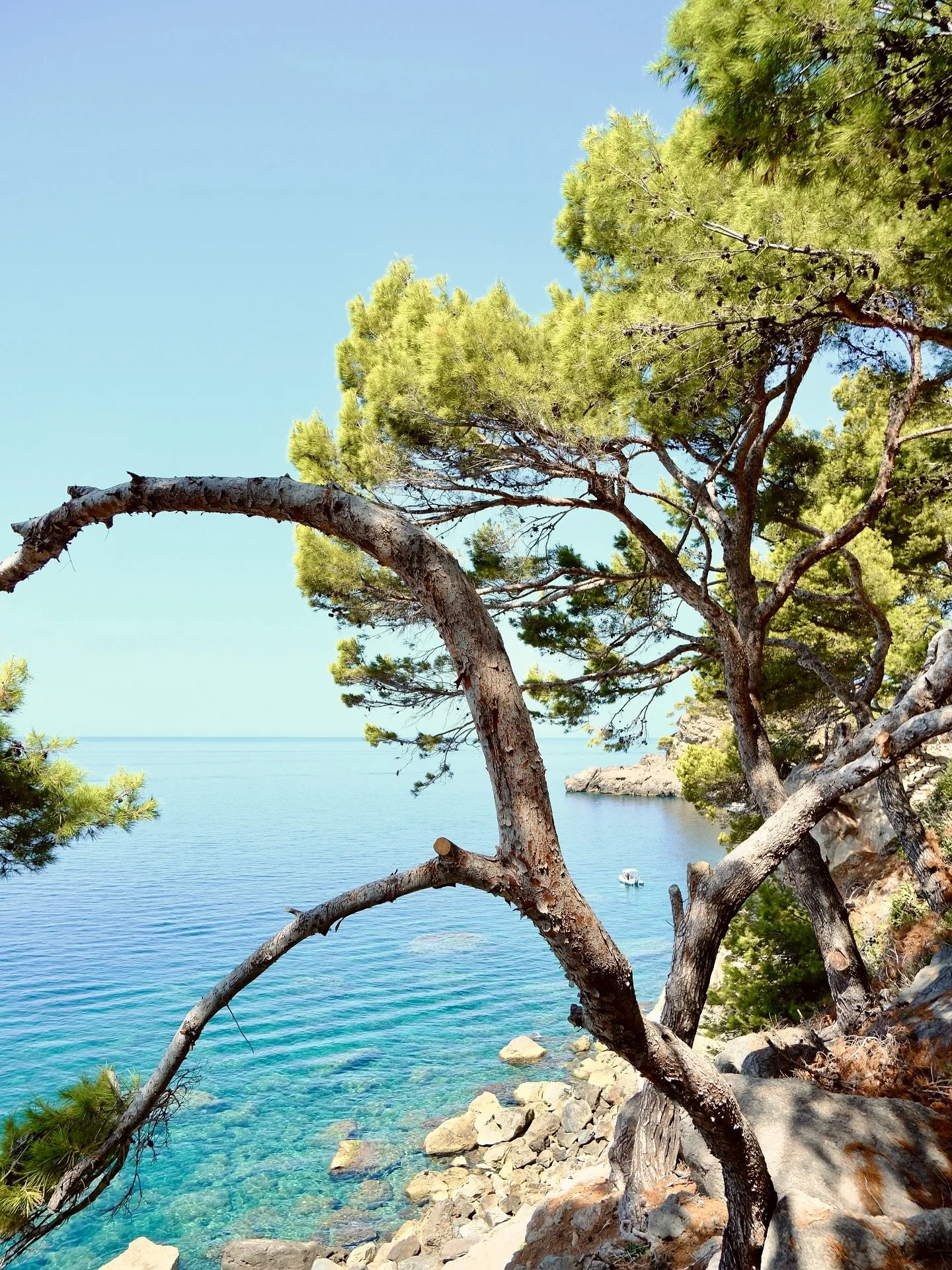 Postcards from Dei&agrave; 🌞💌

A perfect week in this lil slice of heaven at the end of a busy working Summer ☀️. Would thoroughly recommend Dei&agrave; for a sunny escape.. @hotelesmoli was a real treat complete with its own private secluded cove 