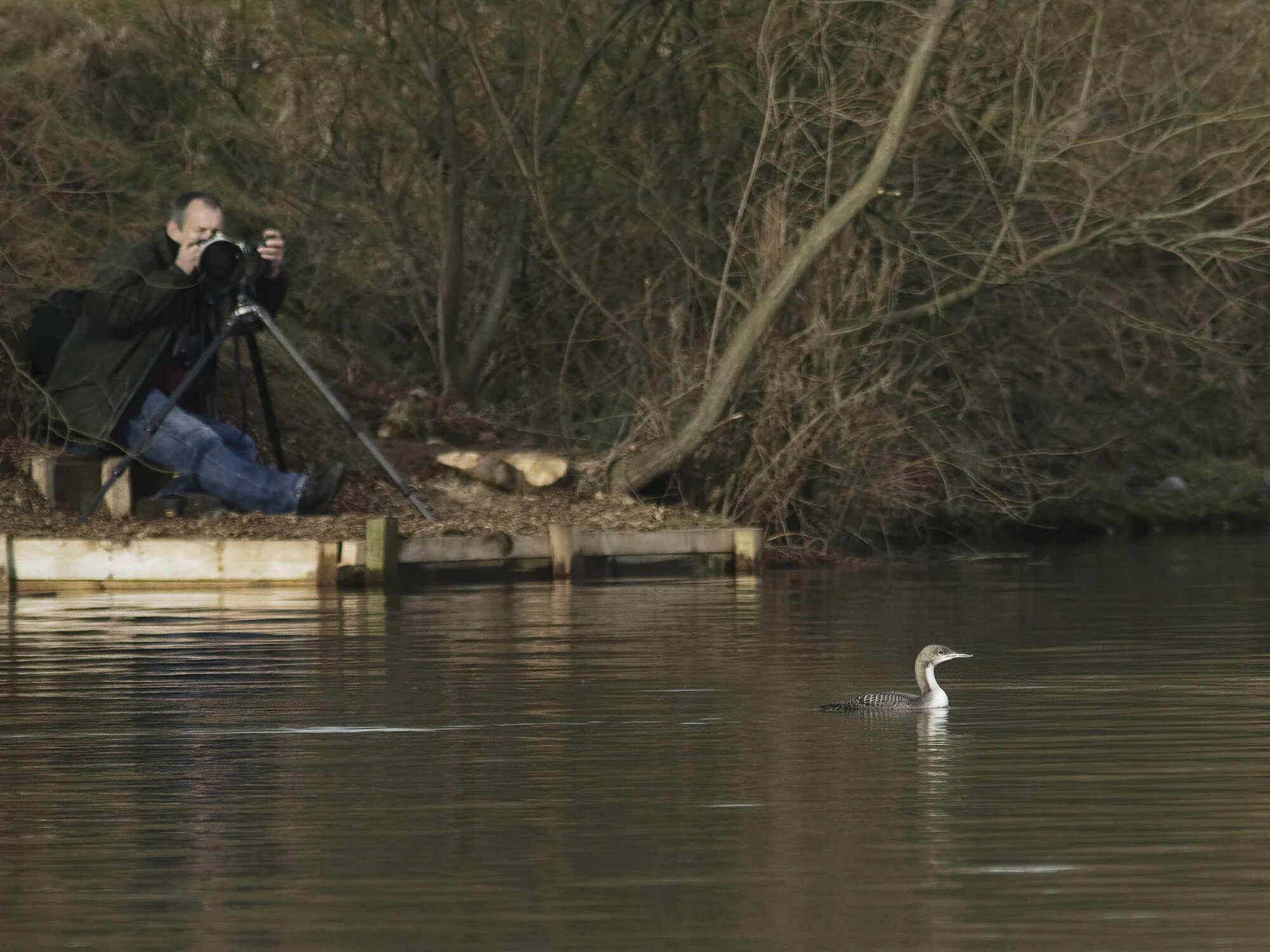 Pacific Diver, Farnham, N Yorkshire, February 2007