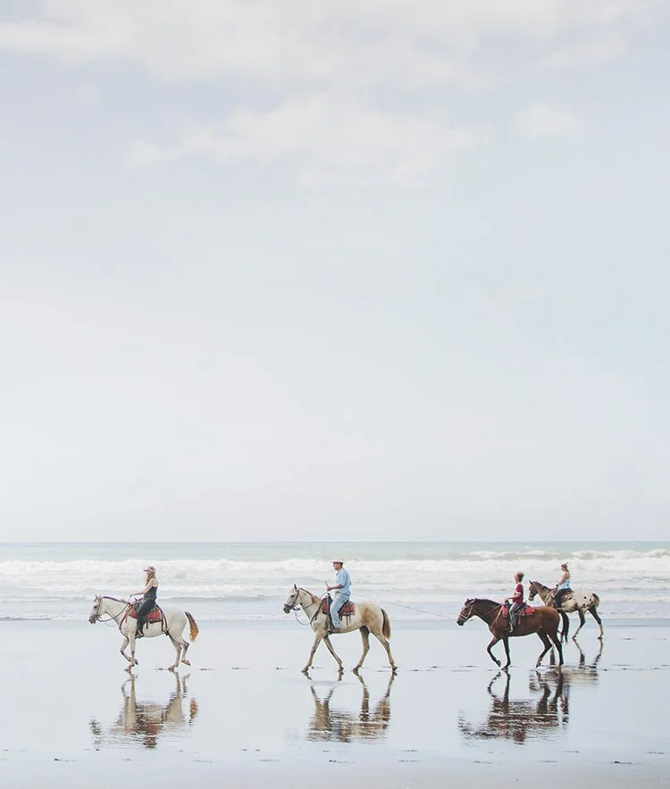 Encantada horses.jpg