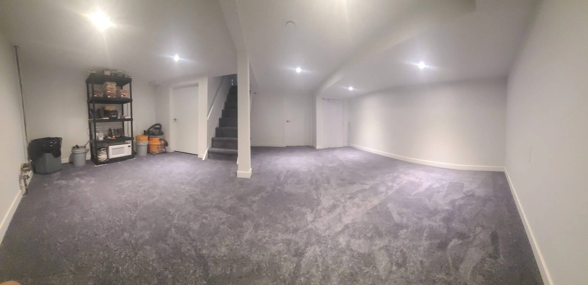 Empty basement room with gray carpet, white walls, and ceiling lights. Storage shelf with items, staircase, and closed door.
