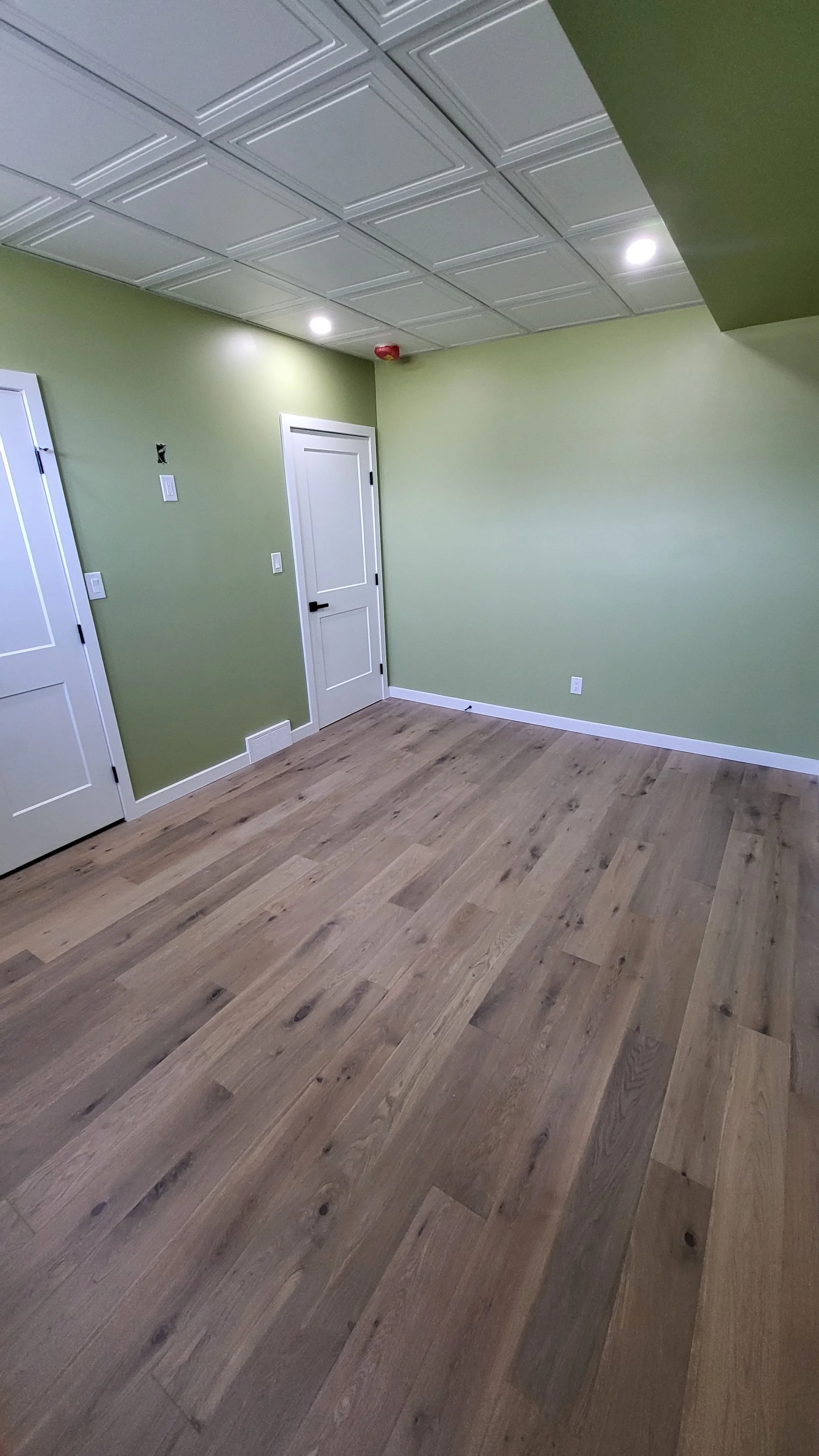 Empty room with green walls, white doors, and a wood floor.  Basement Renovation, hardwood floors, construction, drywall contractor, painter, framer