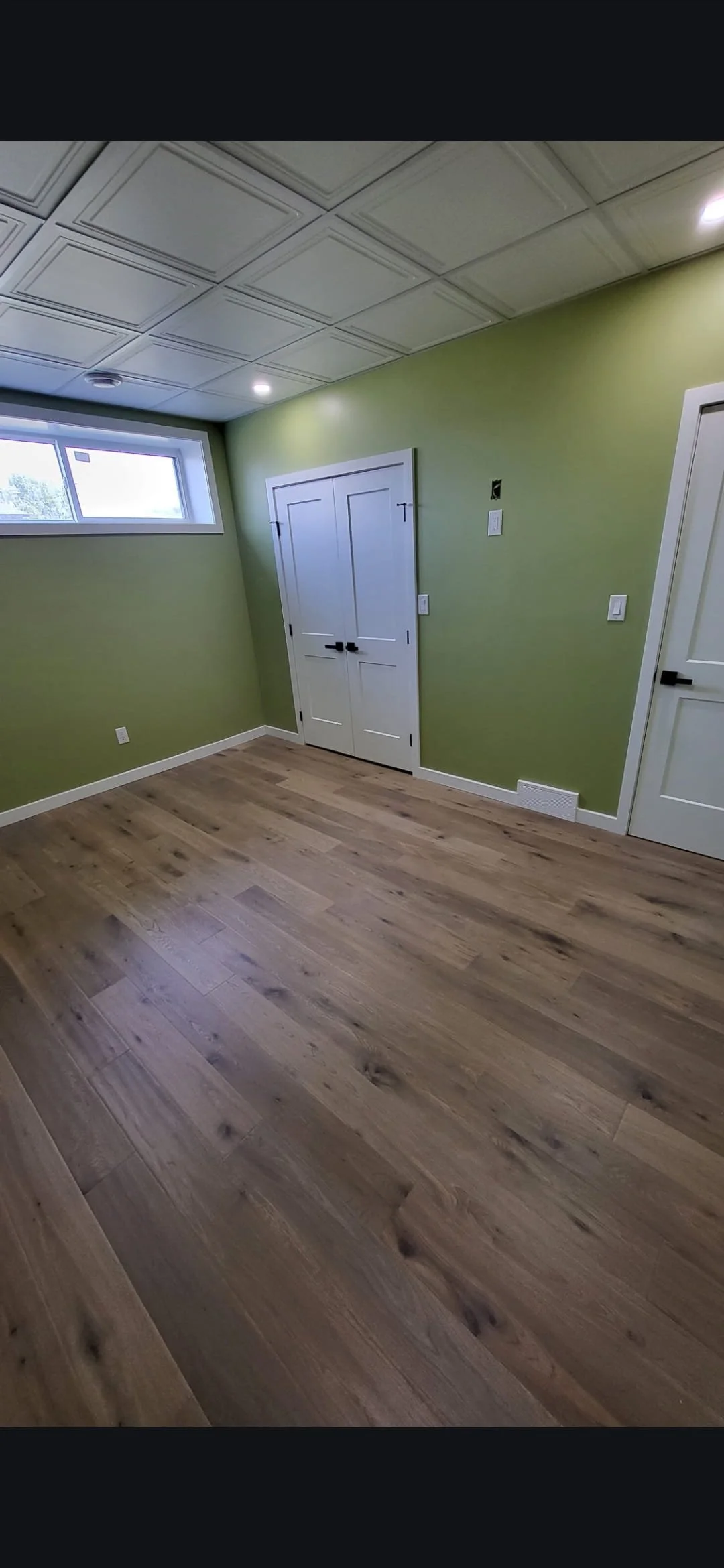 Empty room with green walls, wooden flooring, a small window, white doors, and ceiling panels.  Basement Renovation, hardwood floors, construction, drywall contractor, painter, framer