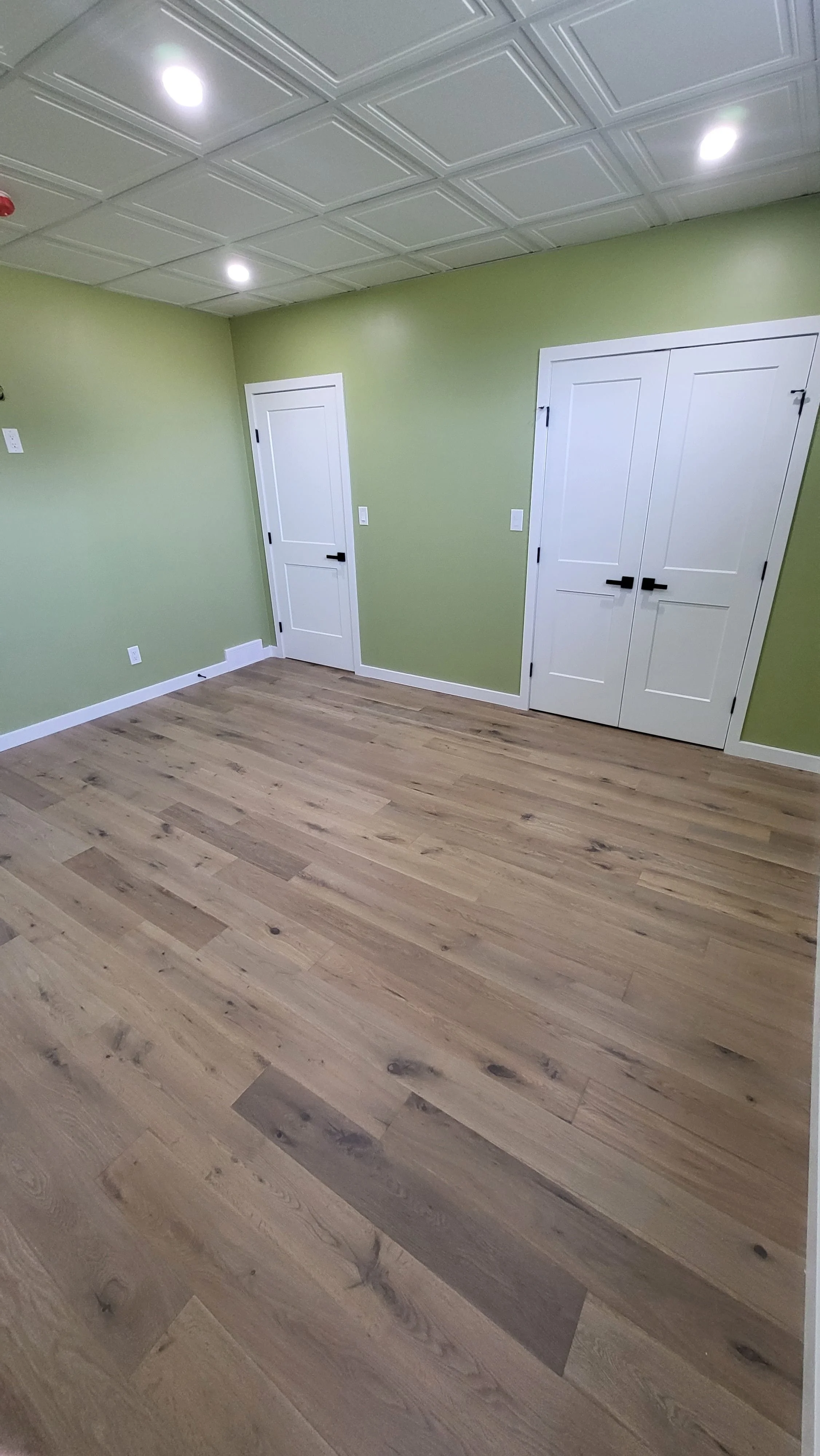 Empty room with green walls, white doors, and wooden flooring. Basement Renovation, hardwood floors, construction, drywall contractor, painter, framer