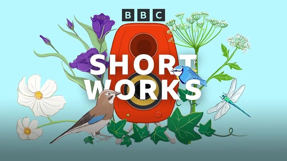 LANE SEVEN – new short story on BBC Radio 4 